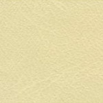 Leather Swatches
